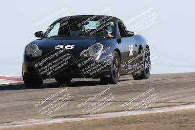 media/Jun-01-2025-PCA Golden Gate (Sun) [[9e4b10205a]]/Yellow/Session 1 (Grapevine)/